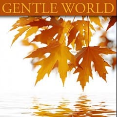 Thế Giới Dịu Dàng - Gentle World