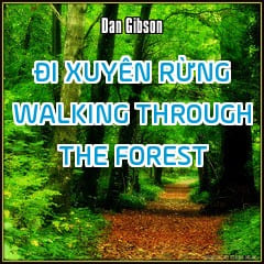 Đi Xuyên Rừng - Walking Through The Forest