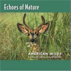 Hoang Dã Nước Mỹ - American Wilds