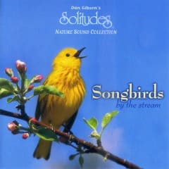 Tiếng Chim Sẻ Bên Suối - Songbirds By The Stream