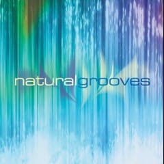 Rãnh Tự Nhiên - Natural Grooves