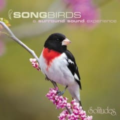 Chim Hót - Songbirds