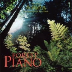 Dương Cầm Rừng - Forest Piano