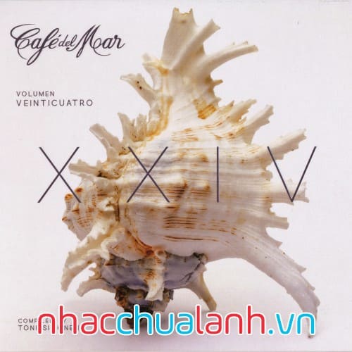 Album Cafe Del Mar Vol.37