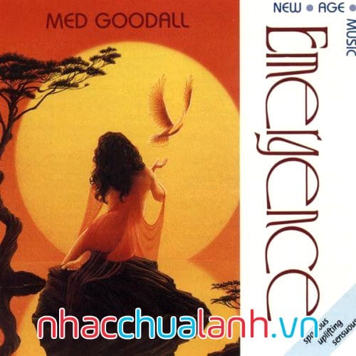 Album Sự Xuất Hiện - Emergence