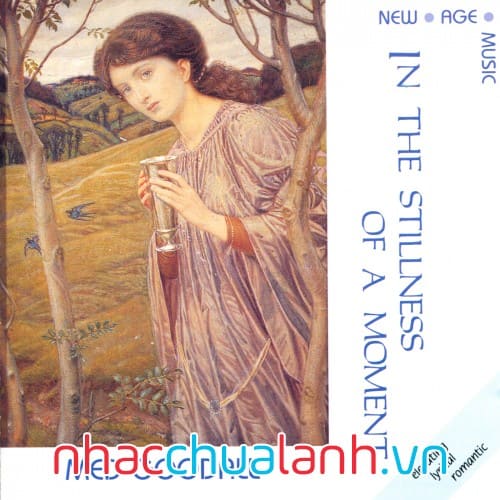 Album Sự Tĩnh Lặng Trong Một Khoảnh Khắc - In The Stillness Of A Moment