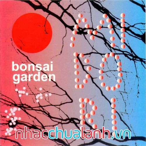 Album Vườn Cây Cảnh - Bonsai Garden