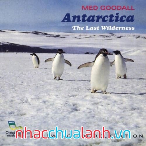 Album Nam Cực Nơi Hoang Dã Cuối Cùng - Antarctica The Last Wilderness