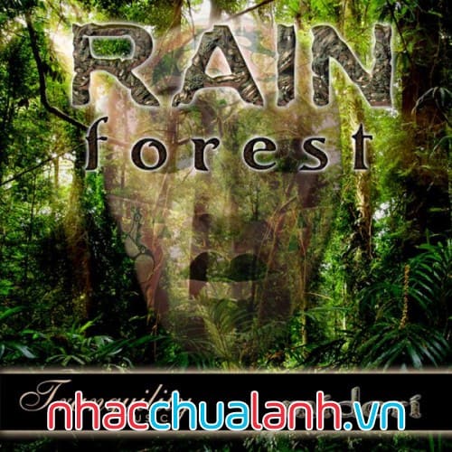 Album Rừng Mưa Nhiệt Đới - Rainforest