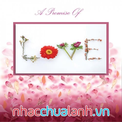 Album Một Lời Hứa Của Tình Yêu - A Promise Of Love