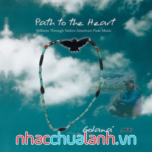Album Đường Đến Trái Tim - Path To The Heart