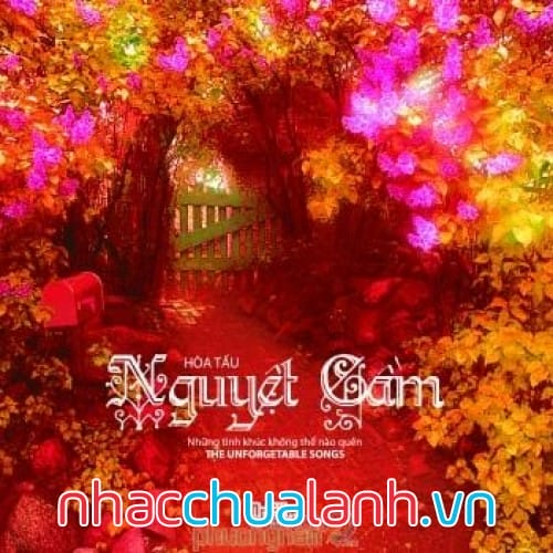 Album Hòa Tấu Duy Cường: Nguyệt Cầm Vol.1