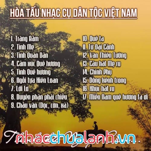 Album Hòa Tấu Nhạc Cụ Dân Tộc Việt Nam