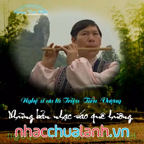 Album Sáo Trúc Tiến Vượng