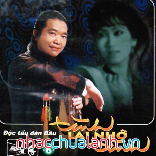 Album Độc Tấu Đàn Bầu - Tình Lại Nhớ Tình