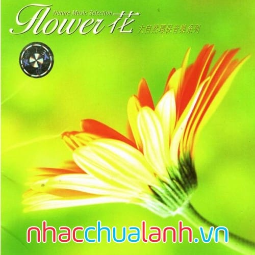 Album Hoa (Flower) - Phong, Hoa, Tuyết, Nguyệt Vol.2