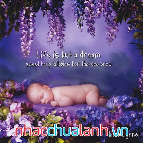 Album Cuộc Sống Là Một Giấc Mơ - Life Is But A Dream