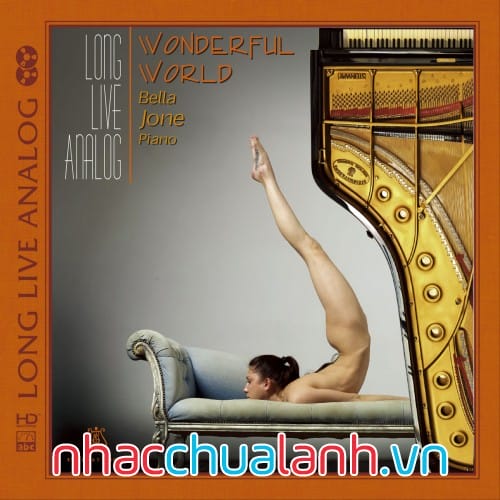 Album Nhạc Analog Sống Động - Long Live Analog