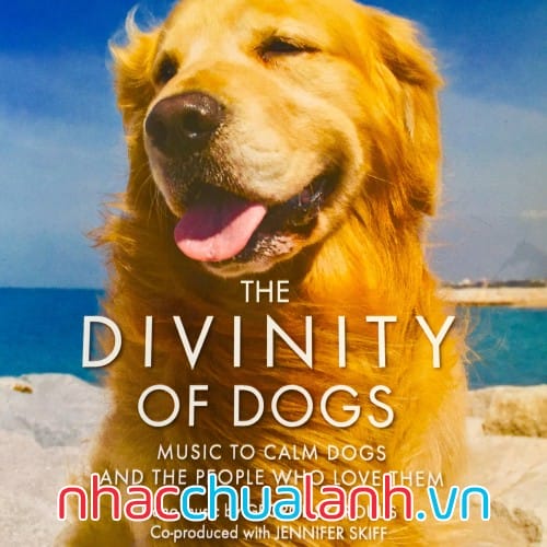Album Thiên Tính Của Những Con Chó - The Divinity Of Dogs
