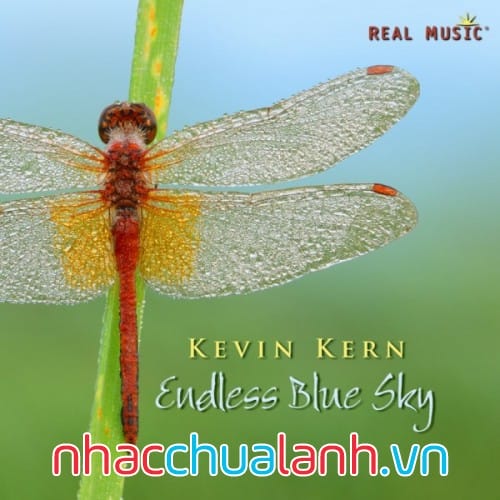 Album Bầu Trời Xanh Vô Tận - Endless Blue Sky