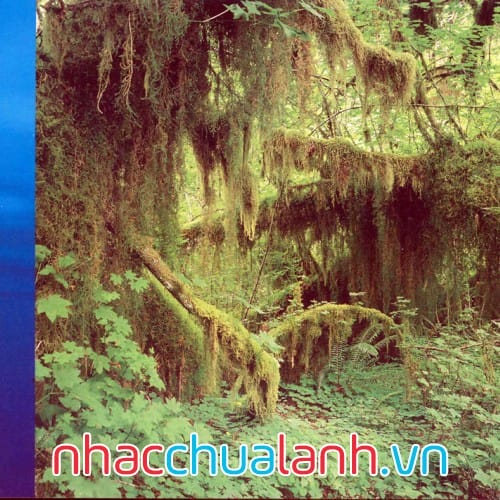 Album Âm Nhạc Của Công Viên Quốc Gia Olympic