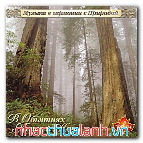 Album Âm Nhạc, Thiên Nhiên - Music, Nature Vol.1