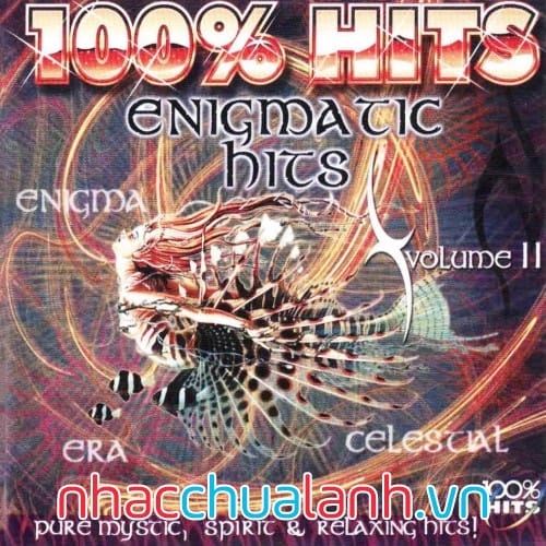 Album Toàn Bộ Đều Là Hit - 100% Hits Vol.2