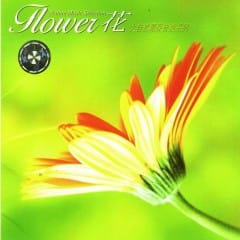 Hoa (Flower) - Phong, Hoa, Tuyết, Nguyệt Vol.2
