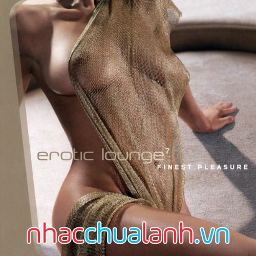 Album Phòng Vui Vẻ - Erotic Lounge Vol.13