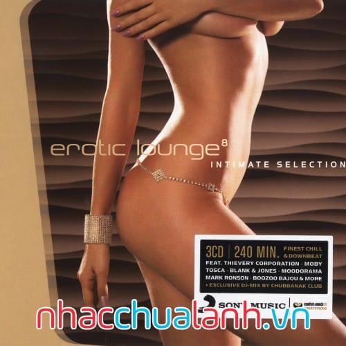 Album Phòng Vui Vẻ - Erotic Lounge Vol.15