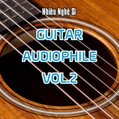 Guitar Audiophile Collection Vol.2