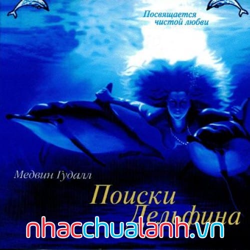 Album Cuộc Tìm Kiếm Cá Heo - The Dolphin Quest