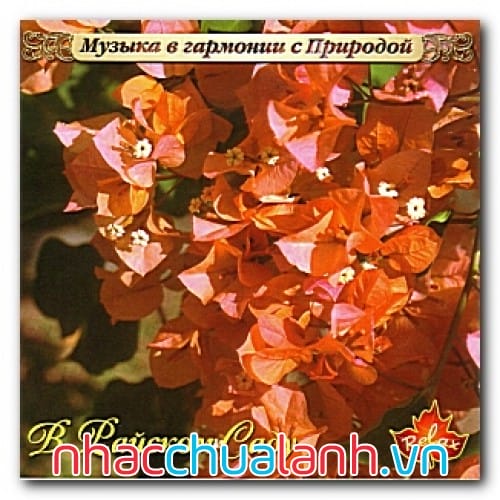 Album Trong Vườn Địa Đàng - In The Garden Of Eden