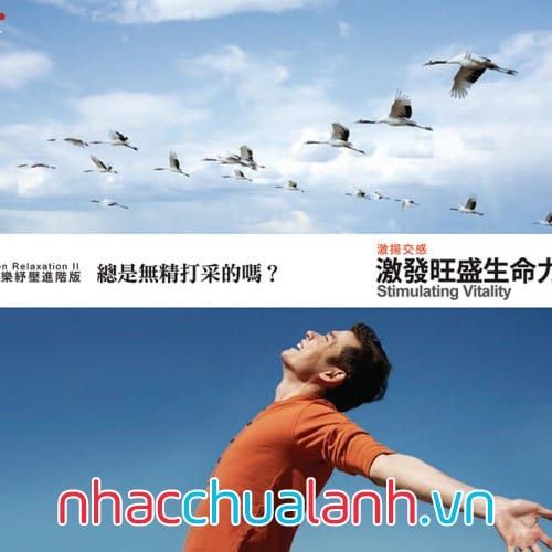 Album Kích Thích Sinh Lực - Stimulating Vitality (Zen Relaxation Series 2)