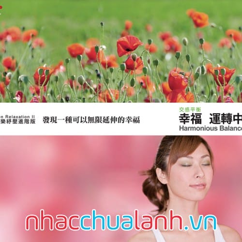 Album Cân Bằng Hài Hòa - Harmonious Balance (Zen Relaxation Series 2)