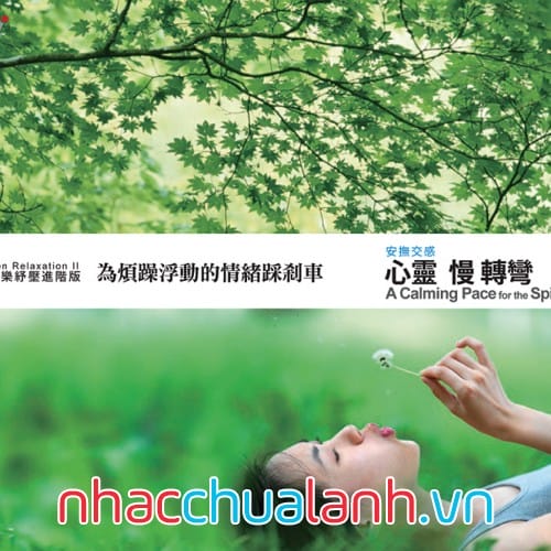 Album Nhịp Điệu Êm Dịu Cho Tinh Thần - A Calming Pace For The Spirit (Zen Relaxation Series 2)